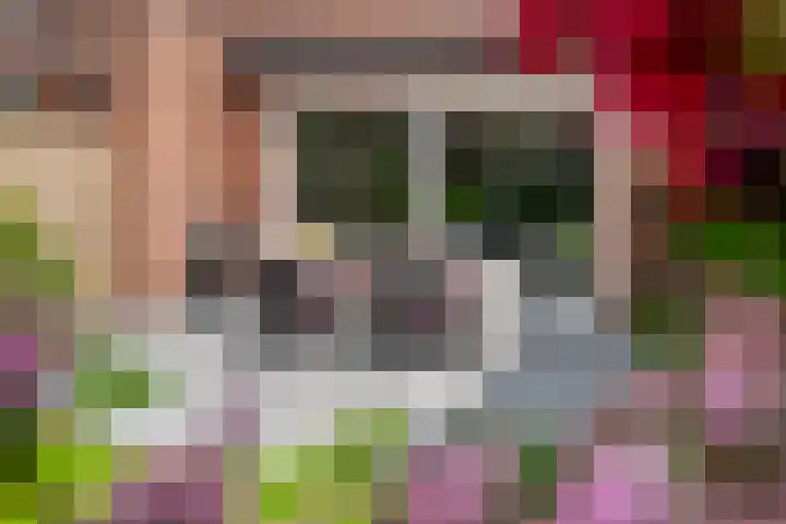 Kievit 100 Maurik thumbnail 29