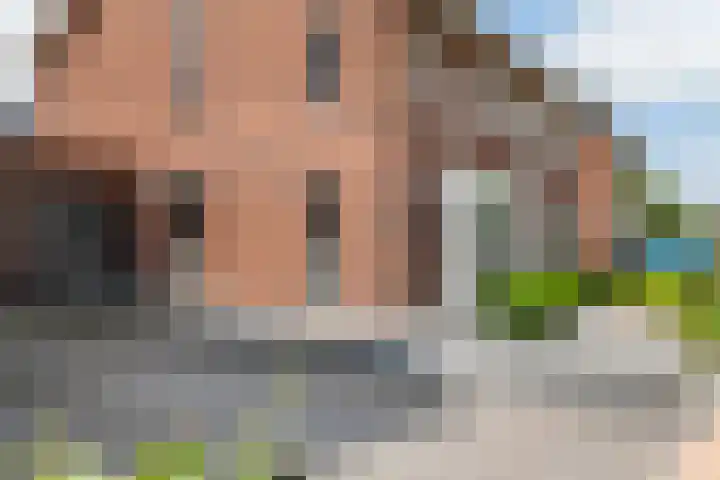 Kievit 100 Maurik thumbnail 30