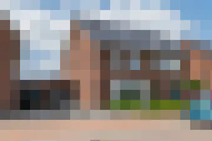 Kievit 100 Maurik thumbnail 31