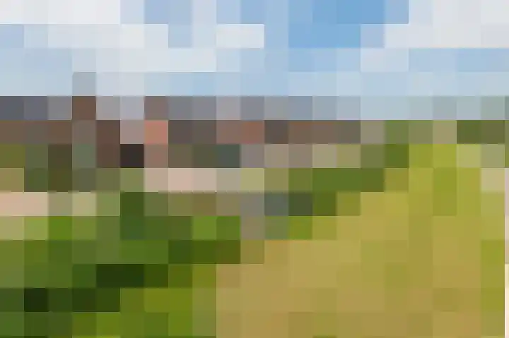 Kievit 100 Maurik thumbnail 33