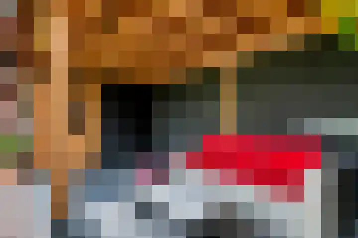 Kievit 100 Maurik thumbnail 34