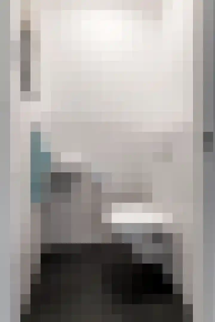 Kievit 100 Maurik thumbnail 36