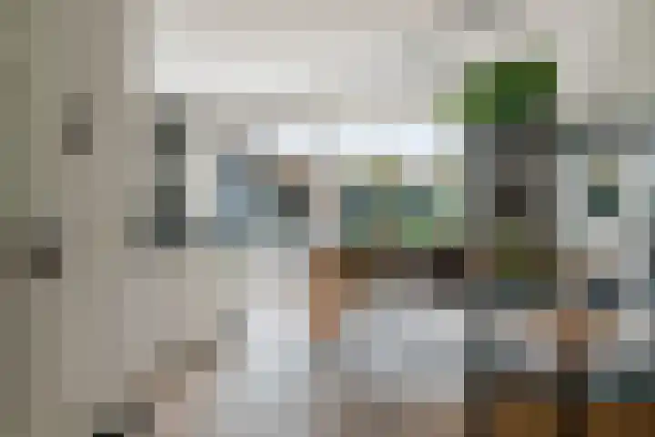 Kievit 100 Maurik thumbnail 4