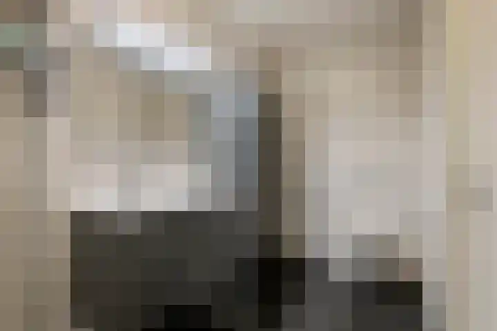 Kievit 100 Maurik thumbnail 44