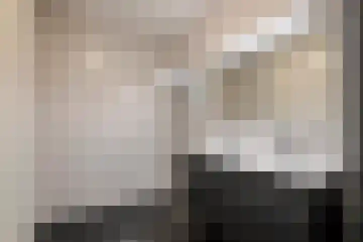 Kievit 100 Maurik thumbnail 45