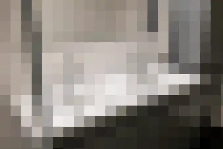 Kievit 100 Maurik thumbnail 47