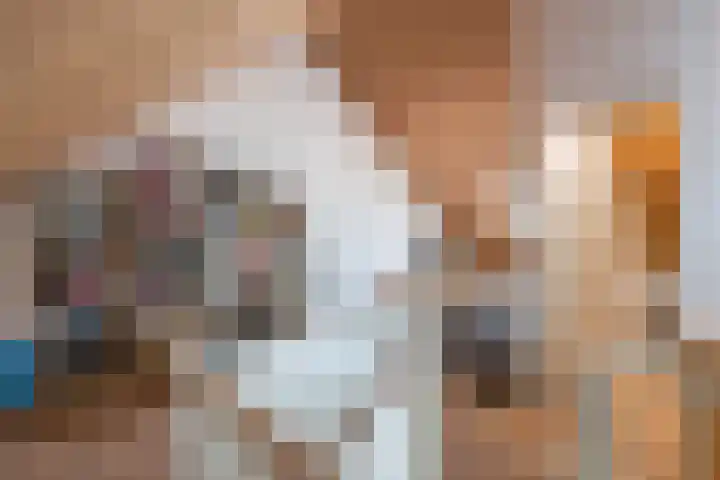 Kievit 100 Maurik thumbnail 50