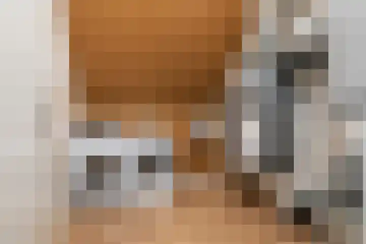 Kievit 100 Maurik thumbnail 54