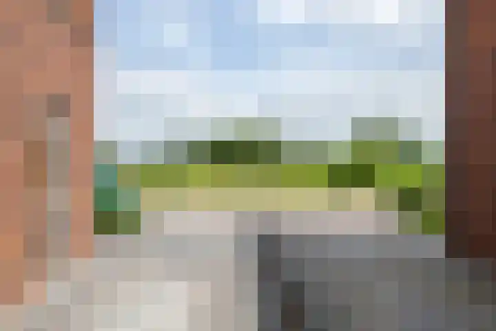 Kievit 100 Maurik thumbnail 56
