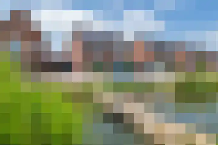 Kievit 100 Maurik thumbnail 58
