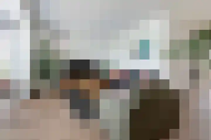 Kievit 100 Maurik thumbnail 6