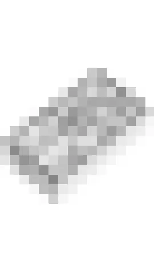 Kievit 100 Maurik thumbnail 62