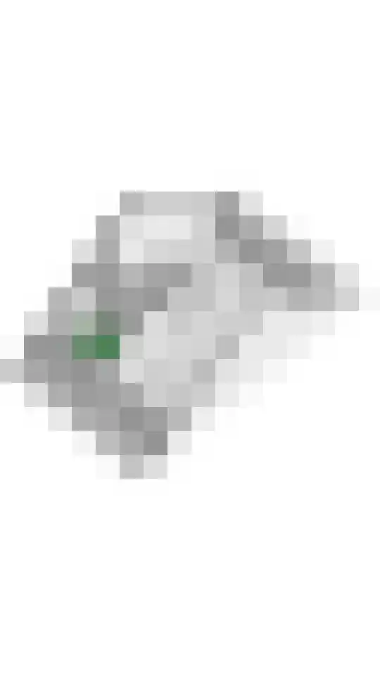 Kievit 100 Maurik thumbnail 64