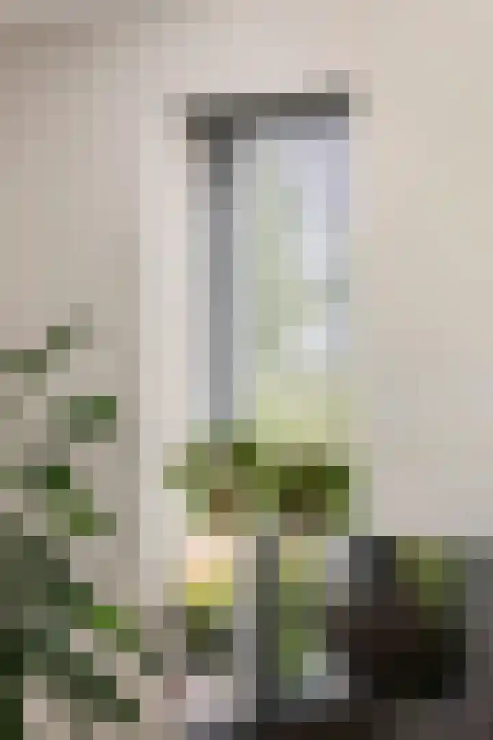 Kievit 100 Maurik thumbnail 7