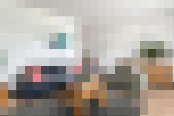 Kievit 100 Maurik thumbnail 8