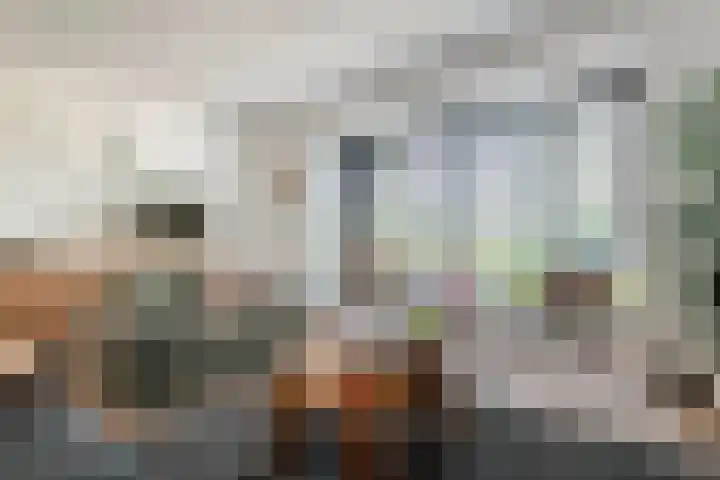 Kievit 100 Maurik thumbnail 9