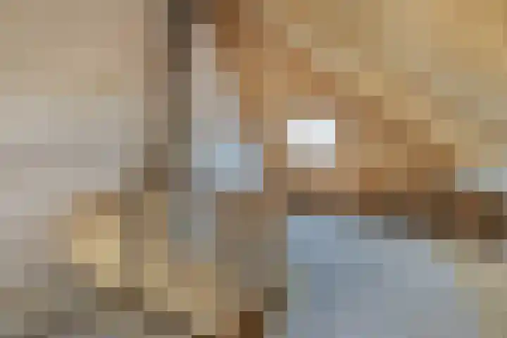 Kievit 11 De Lier thumbnail 10