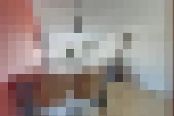 Kievit 11 De Lier thumbnail 10