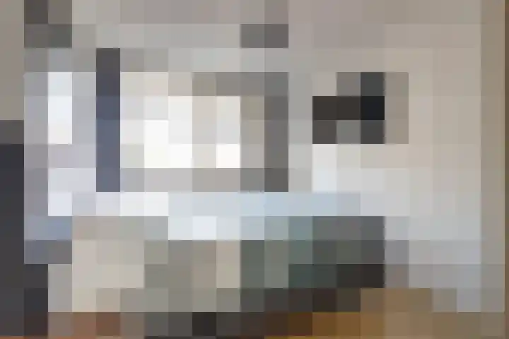 Kievit 11 De Lier thumbnail 12