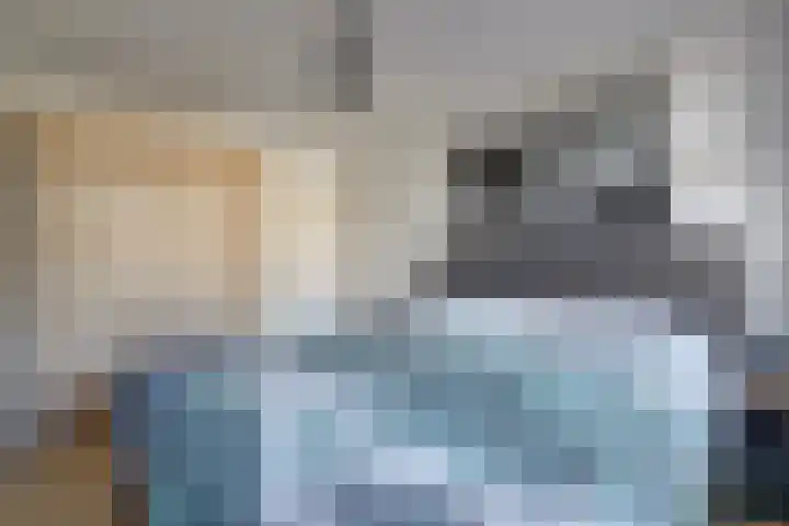 Kievit 11 De Lier thumbnail 13