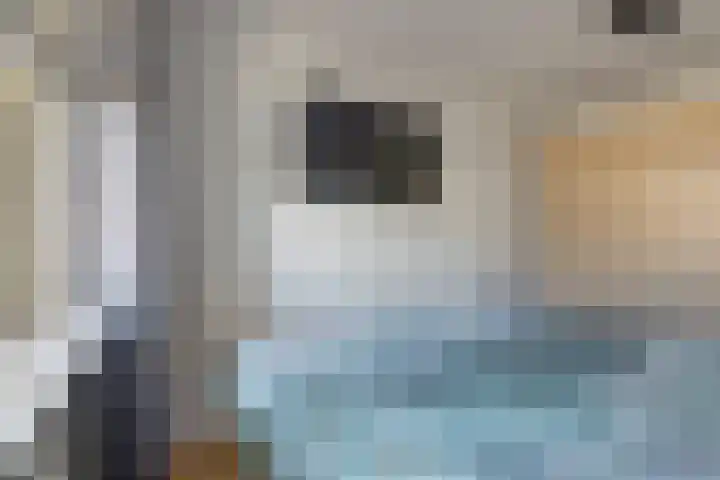 Kievit 11 De Lier thumbnail 14