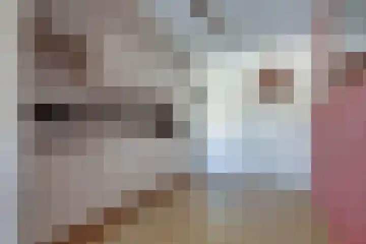 Kievit 11 De Lier thumbnail 4