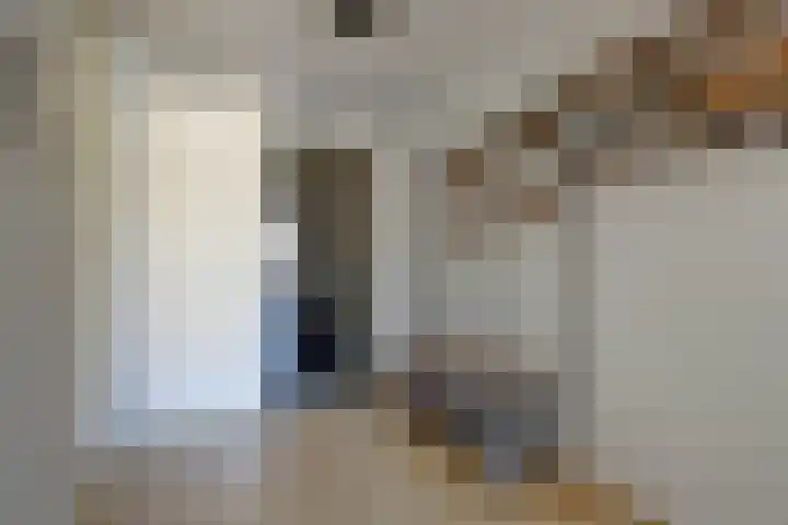 Kievit 11 De Lier thumbnail 6
