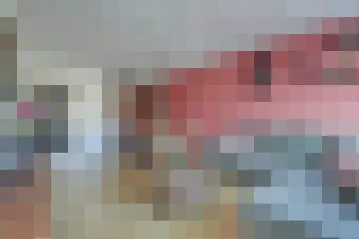 Kievit 11 De Lier thumbnail 8