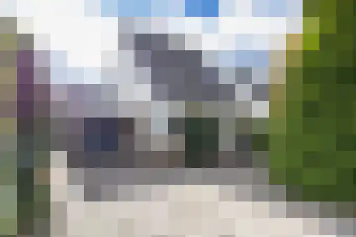 Kievit 11 Lemmer thumbnail 10