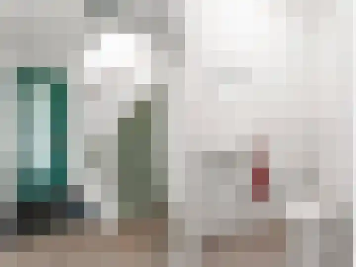 Kievit 11 Lemmer thumbnail 12