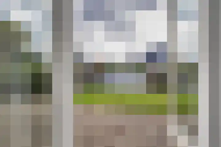 Kievit 11 Lemmer thumbnail 19
