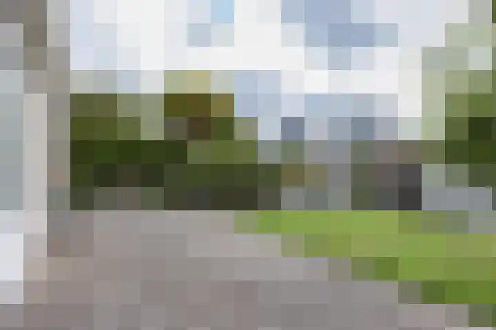 Kievit 11 Lemmer thumbnail 30