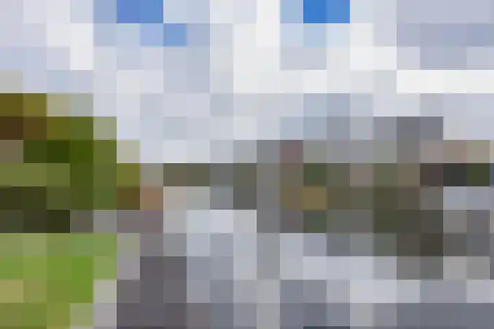 Kievit 11 Lemmer thumbnail 33