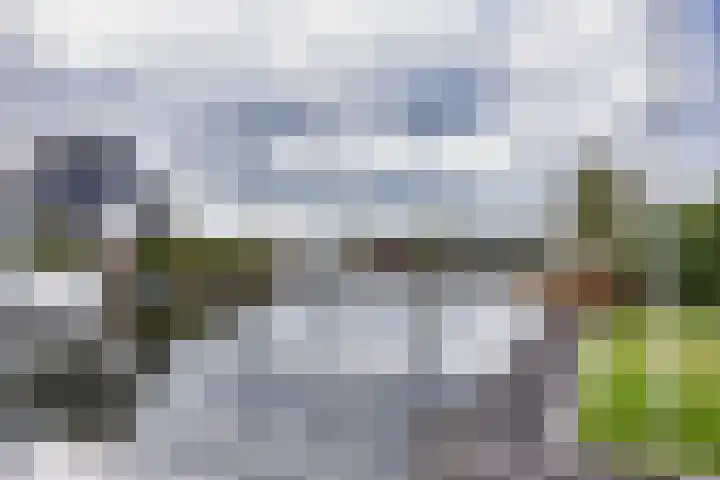 Kievit 11 Lemmer thumbnail 34
