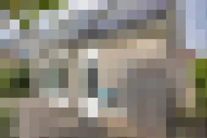 Kievit 11 Lemmer thumbnail 36