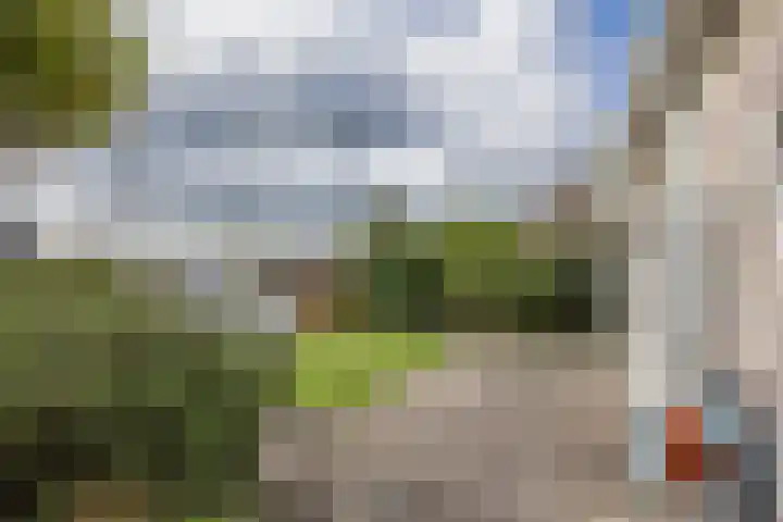 Kievit 11 Lemmer thumbnail 37