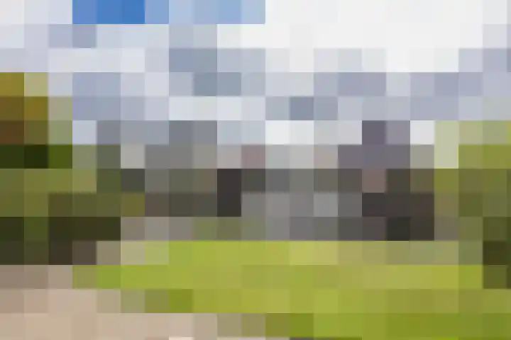 Kievit 11 Lemmer thumbnail 38