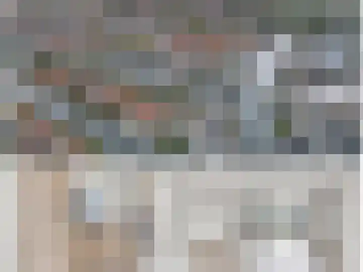 Kievit 11 Lemmer thumbnail 4