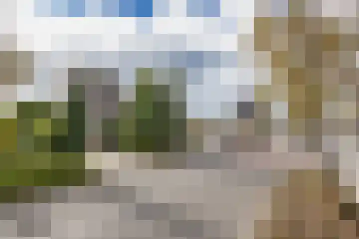 Kievit 11 Lemmer thumbnail 8