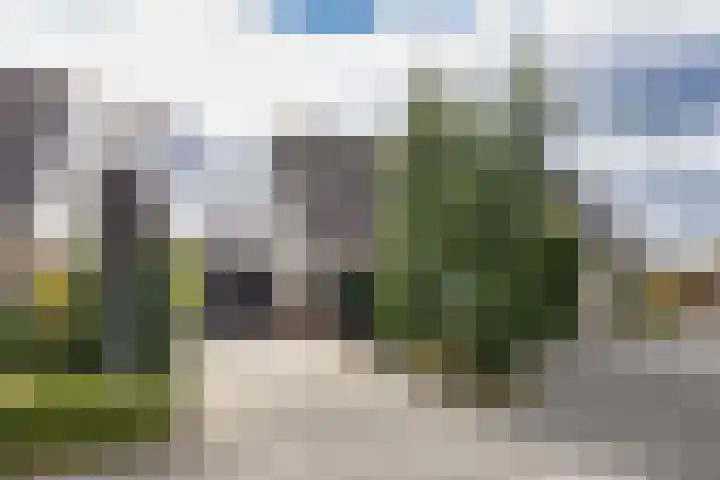 Kievit 11 Lemmer thumbnail 9