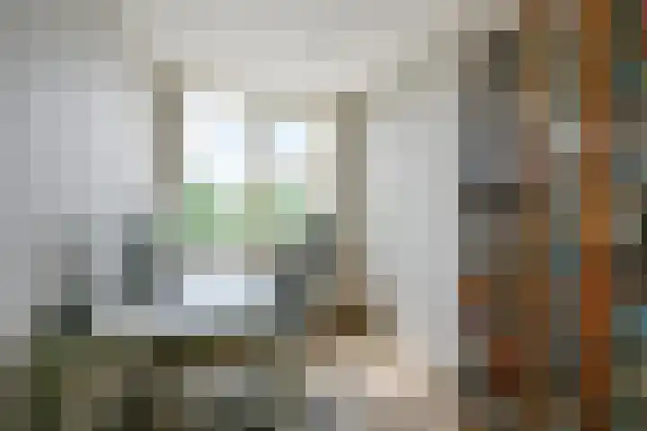 Kievit 111 Hoorn thumbnail 15