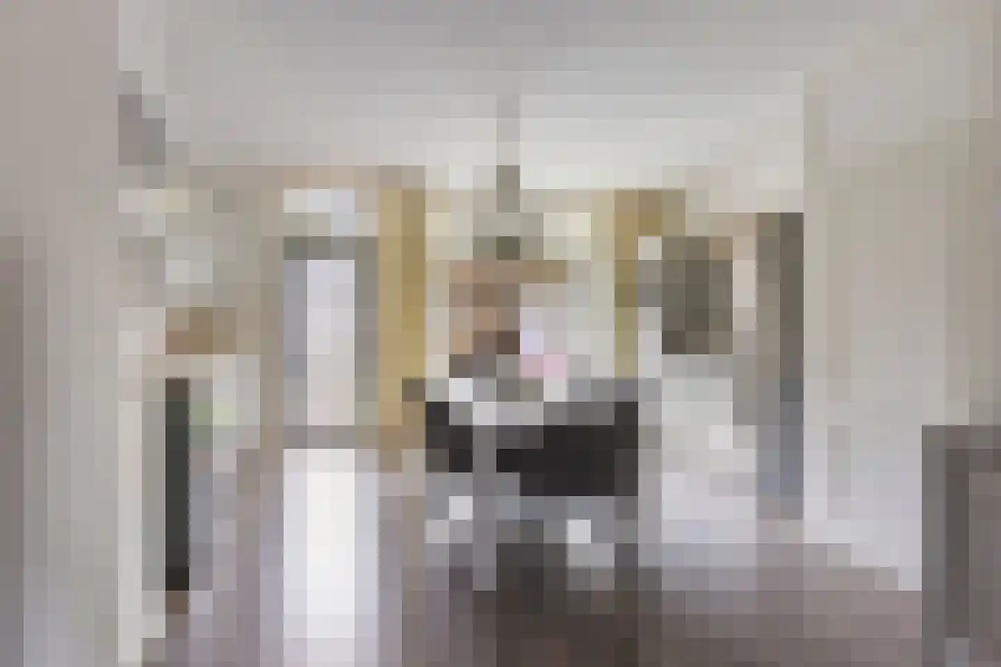 Kievit 116 Oss thumbnail 13