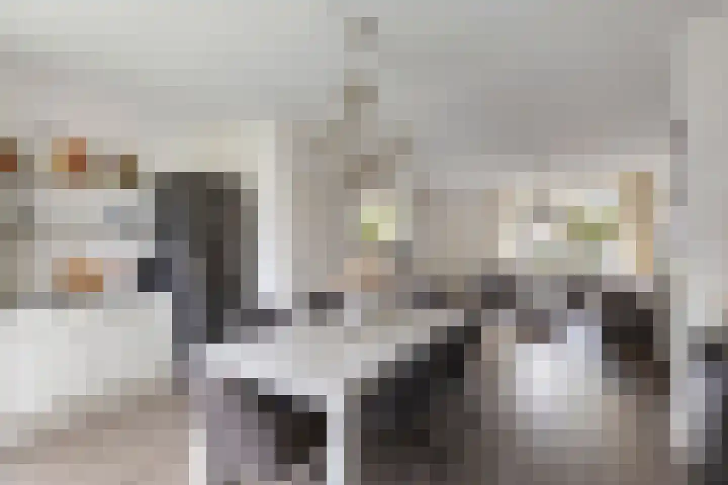 Kievit 116 Oss thumbnail 15
