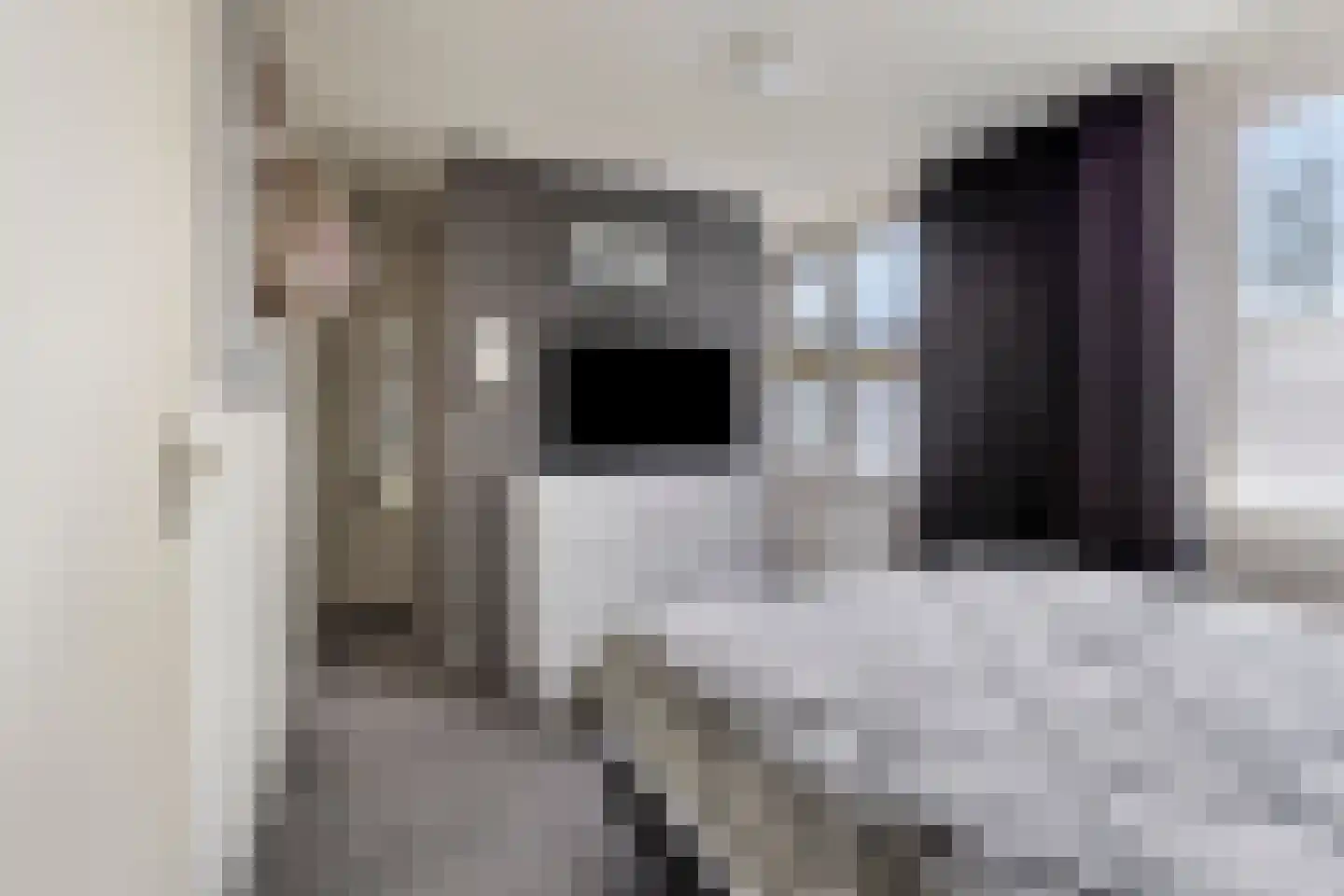 Kievit 116 Oss thumbnail 20