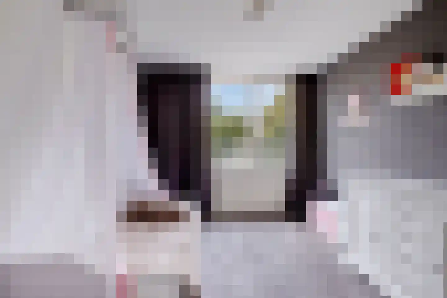 Kievit 116 Oss thumbnail 25