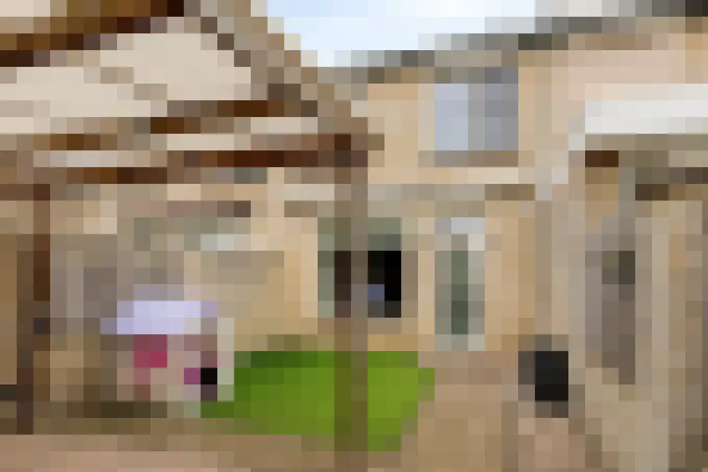 Kievit 116 Oss thumbnail 33