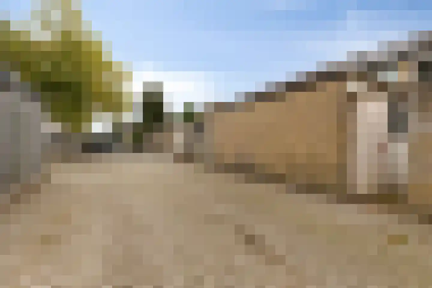 Kievit 116 Oss thumbnail 36