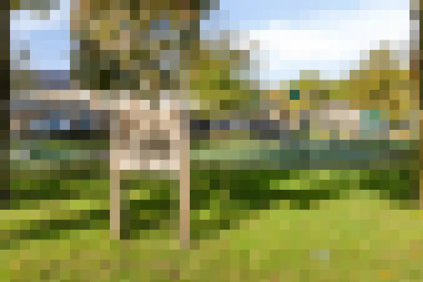 Kievit 116 Oss thumbnail 41