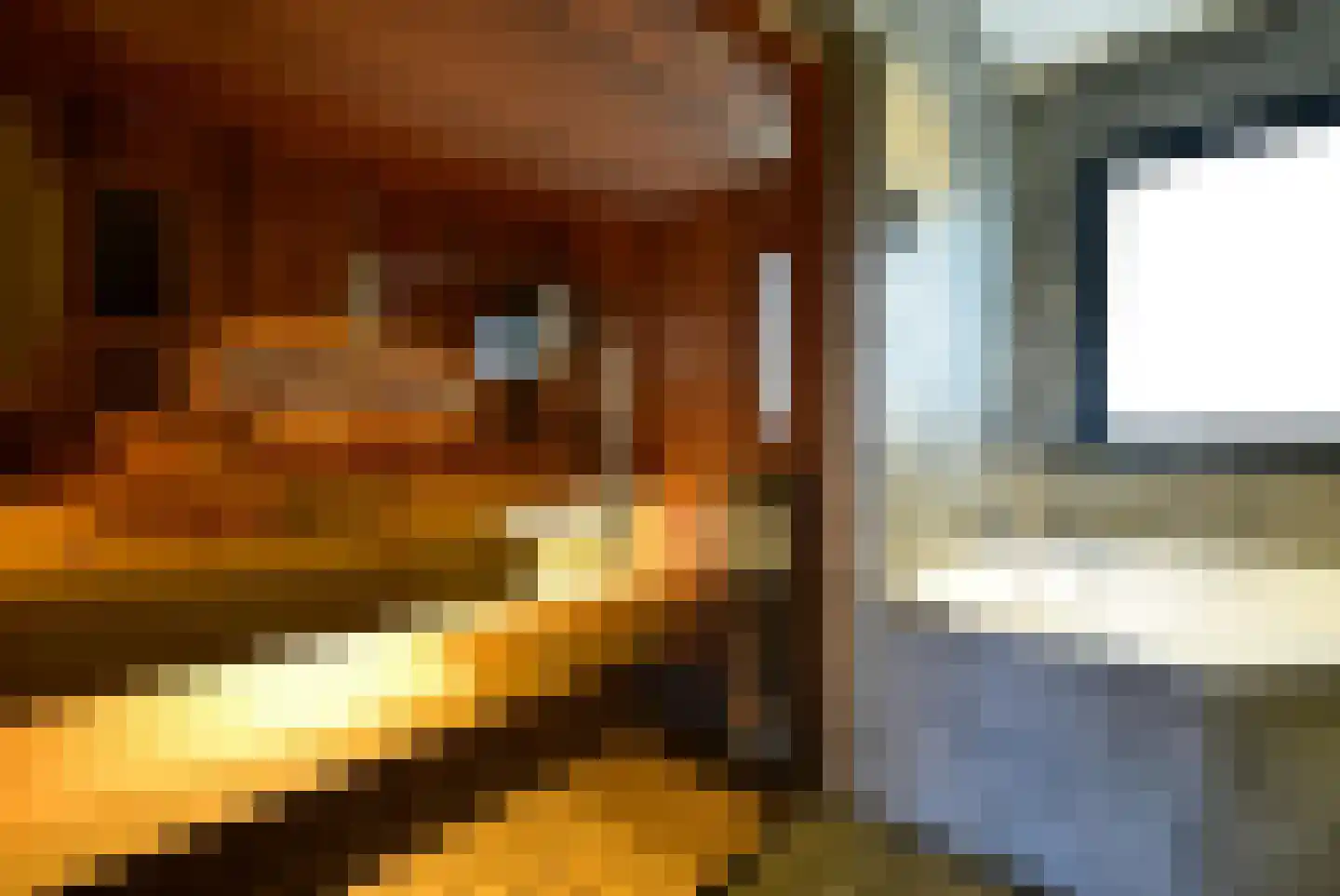 Kievit 12 668 Baarle-Nassau thumbnail 11