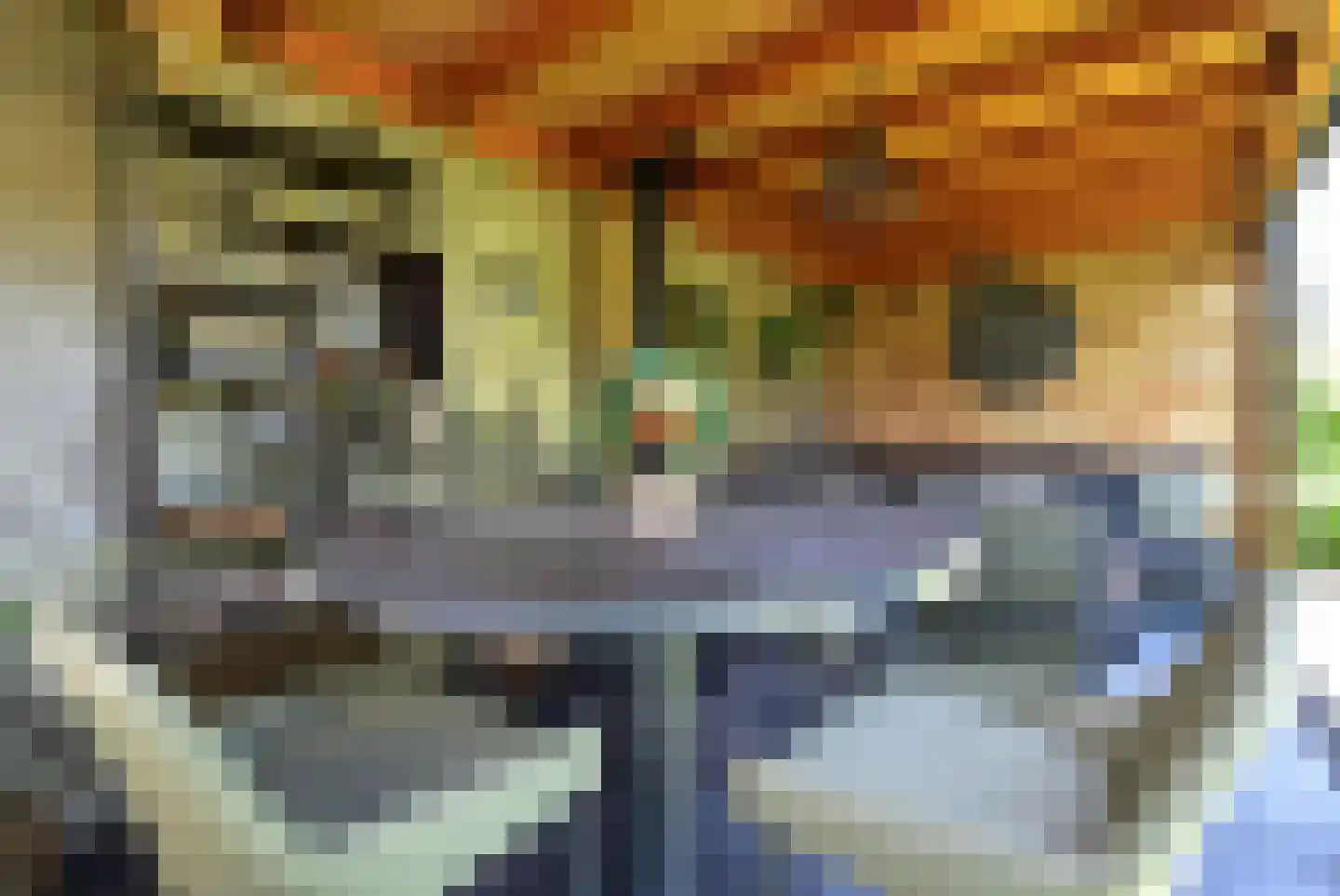 Kievit 12 668 Baarle-Nassau thumbnail 25